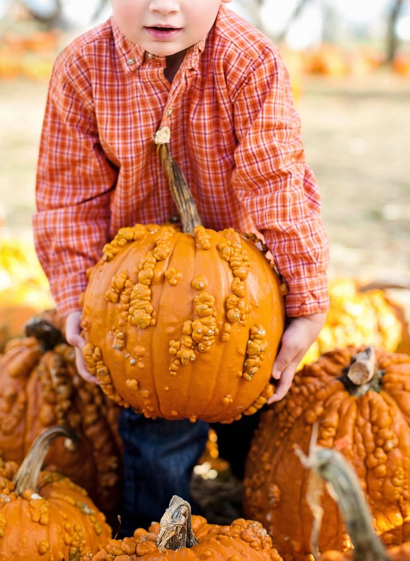 Fall Pumpkins