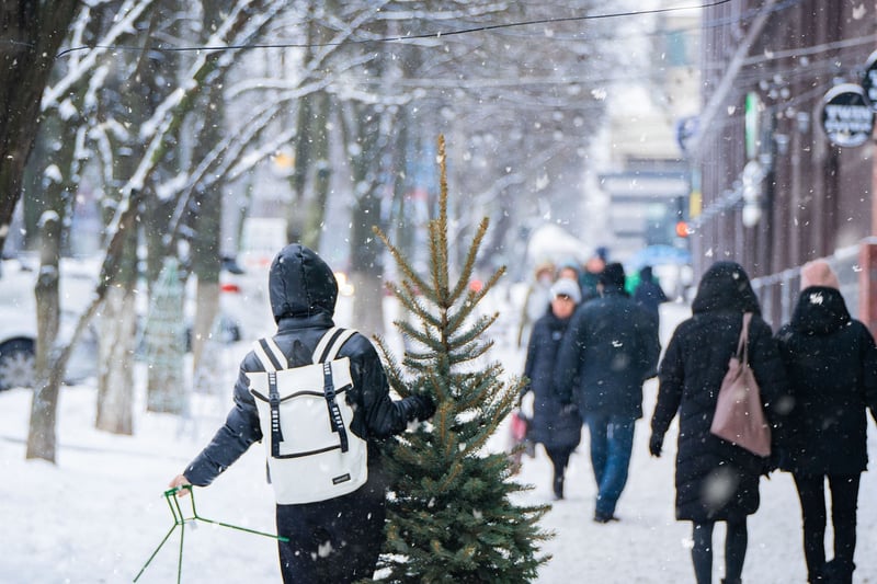 Winter Snowfall